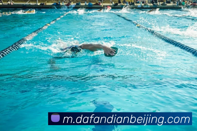 大发彩票APP 封面图